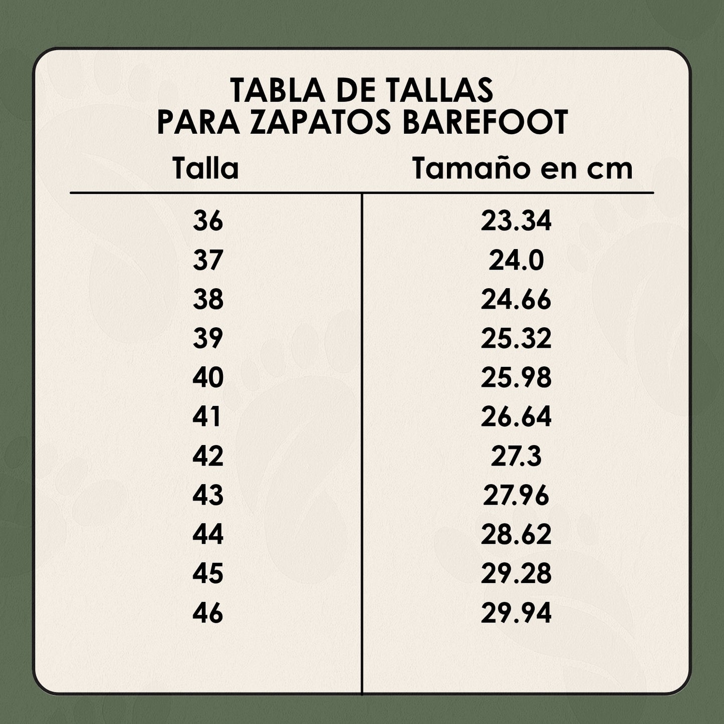 Equilibria Motion – Zapatos Estilo Barefoot Unisex – Diseño Minimalista, Ligero y Estable